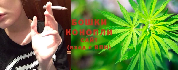 молекула духа Касимов