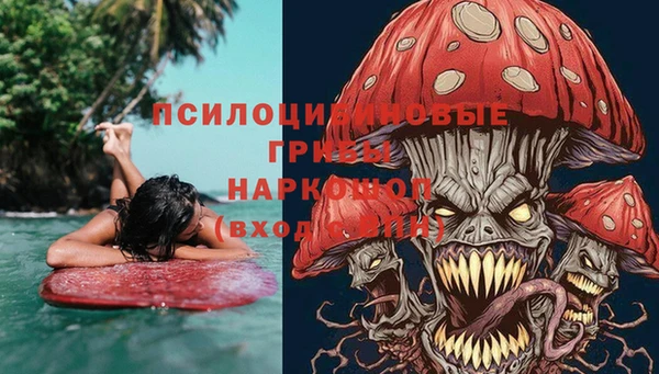 экстази Каменногорск