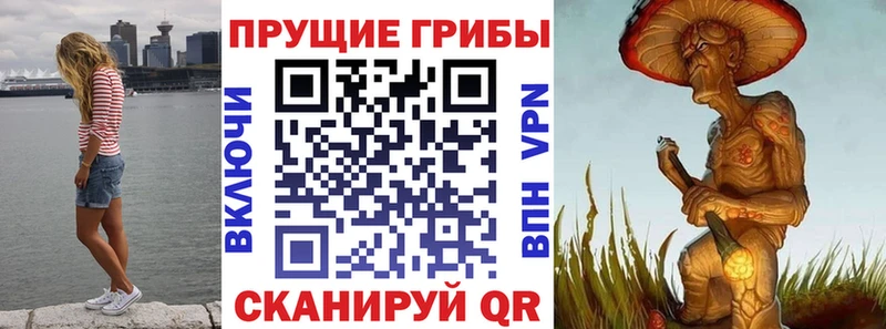 Псилоцибиновые грибы мицелий  купить наркотик  Новая Усмань 