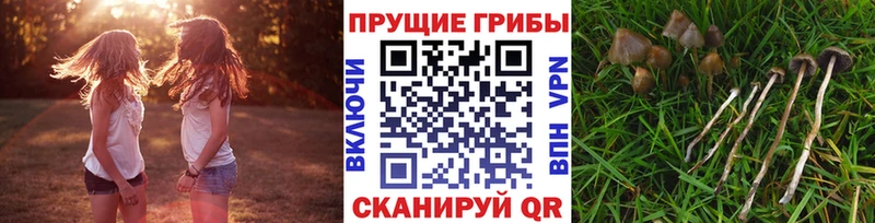 Галлюциногенные грибы мицелий Новая Усмань